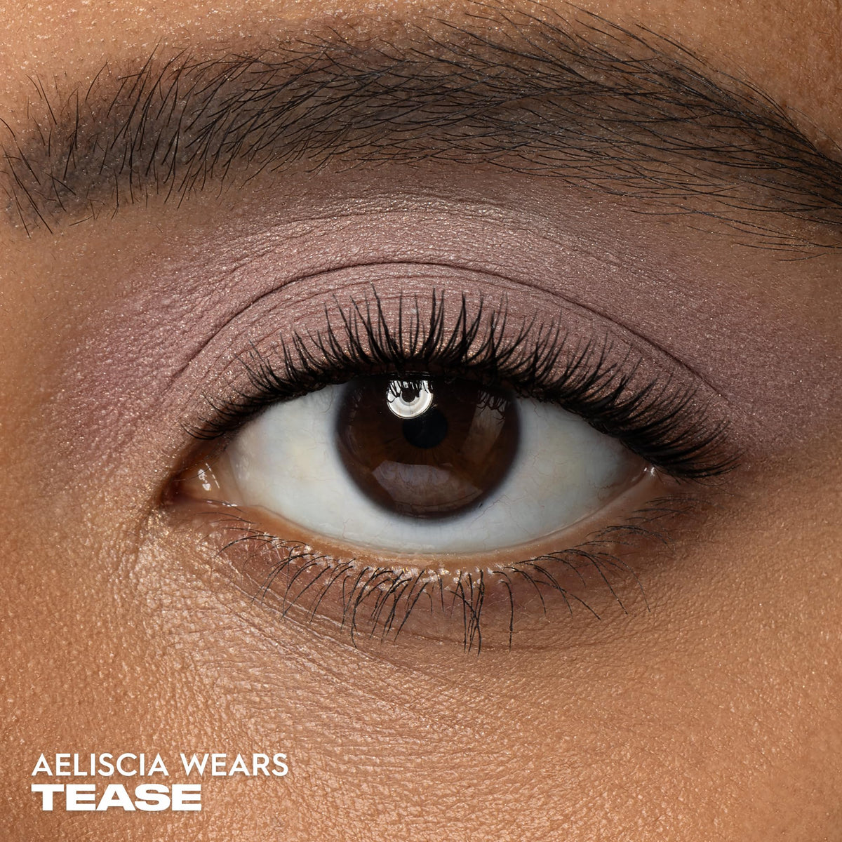 Ombre à Paupières URBAN DECAY Cool Taupe Mat 41g avec applicateur