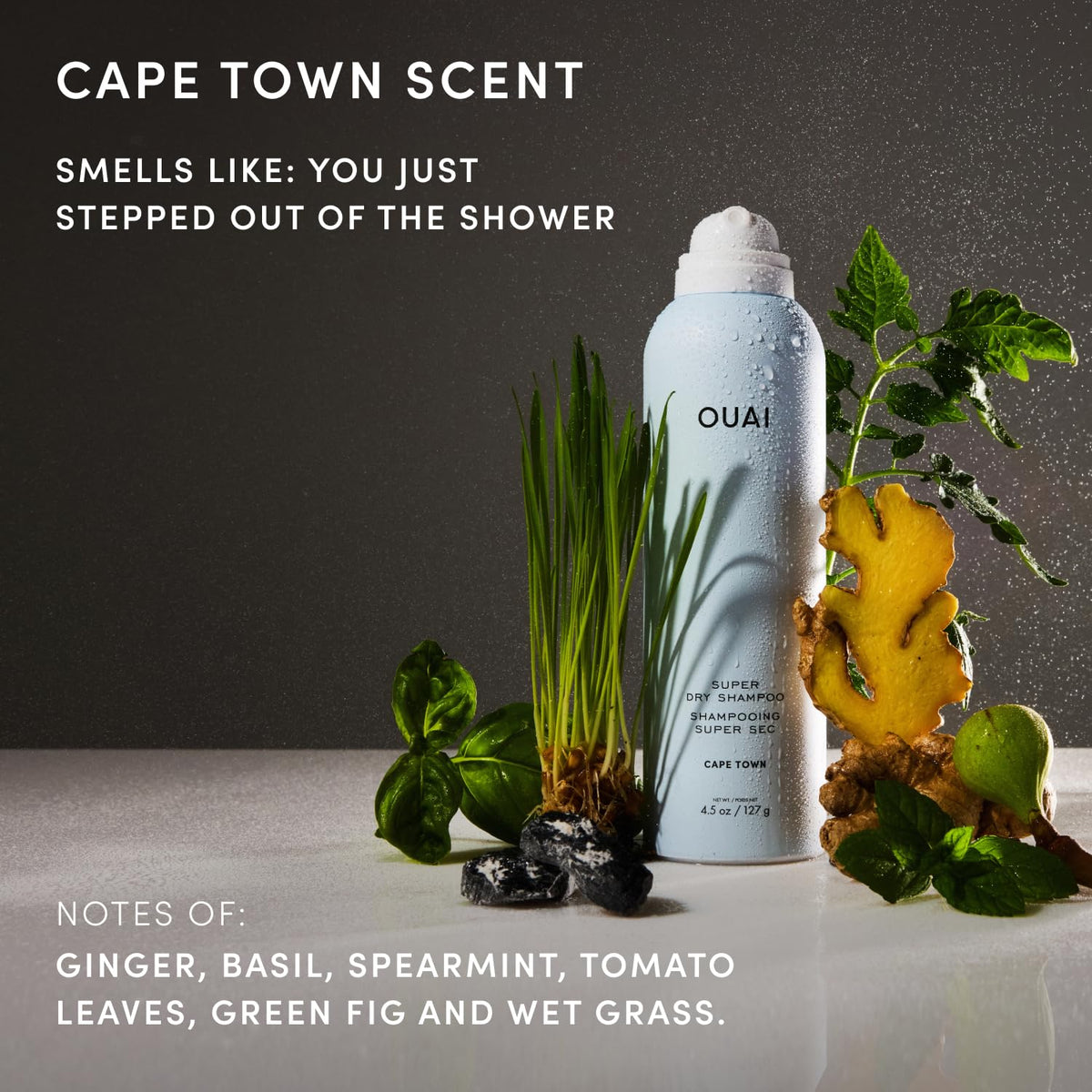 OUAI Shampoo Sec Voyage Cape Town 58g avec autres produits de beauté