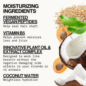 Pacifica Coco Peptide Shampoo & Conditioner Set sur fond blanc