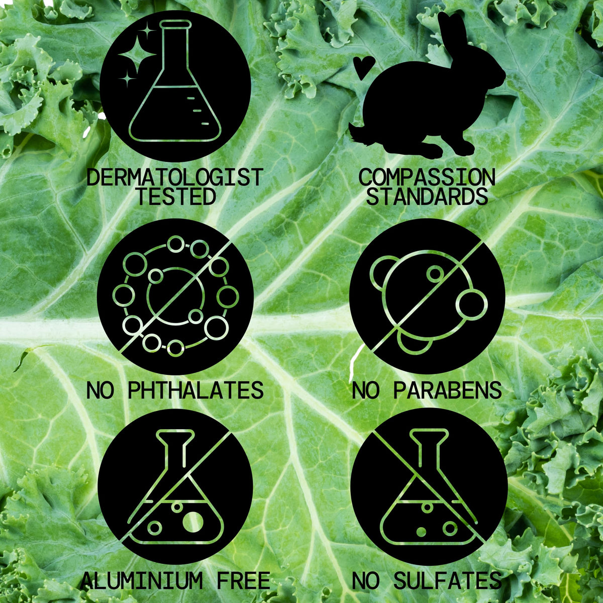 Pacifica Kale Yeah! Sérum Anti-Rougeurs 109g arrière avec ingrédients