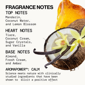 Pacifica Parfum Spray Nectar de Coco Indien 60 ml près d'une plage