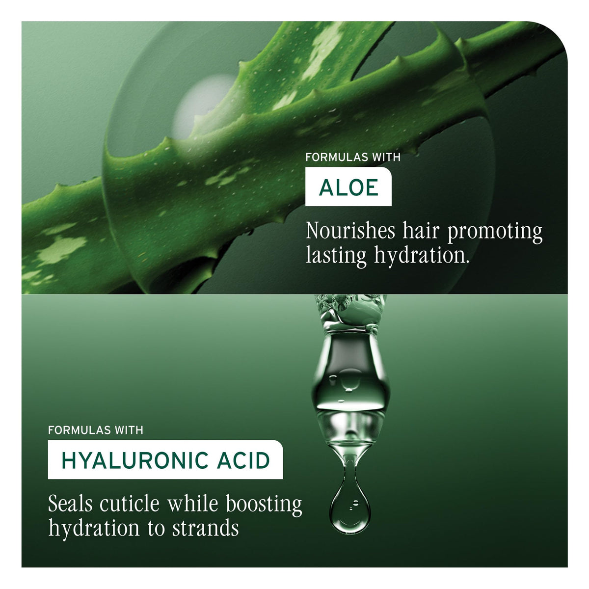 Packaging du Baume Hydra Source Biolage