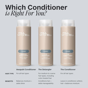 Paul Mitchell The Conditioner sur des cheveux fraîchement lavés
