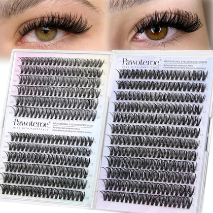 Pawotence Faux Cils 30D 40D pack de 480 pièces vue de face