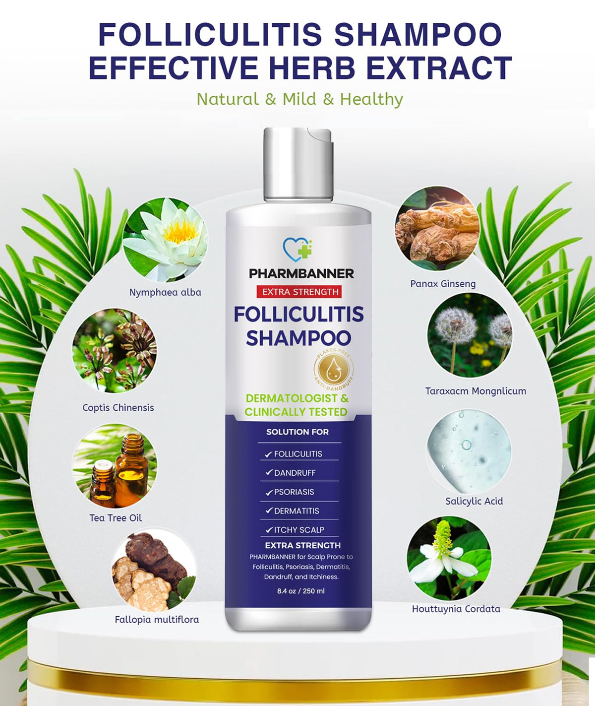 PHARMBANNER Shampooing Antifongique 281g avec mousse sur le cuir chevelu