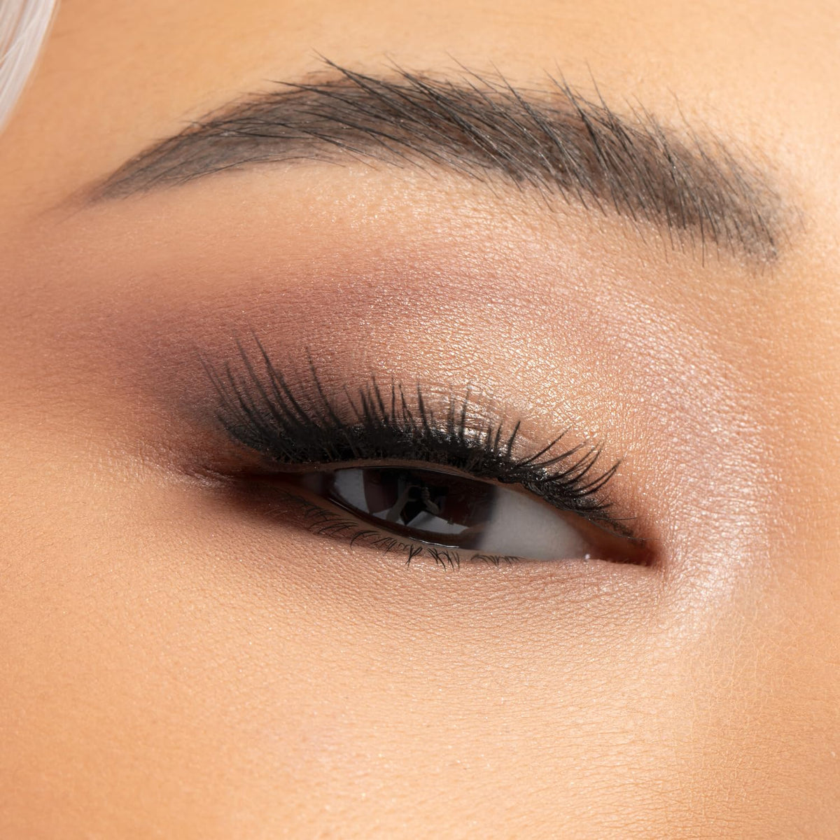 Pinceau double embout avec la Palette d'Ombres à Paupières Physicians Formula