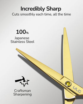 Poignée décalée des ciseaux de coiffure ULG