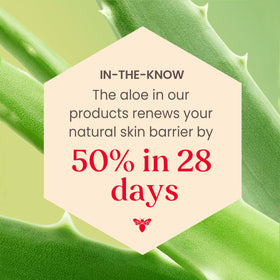 Pot de Crème de Nuit Apaisante Burt's Bees ouvert