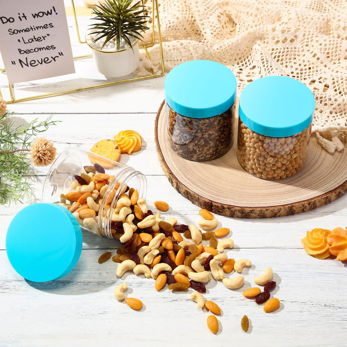 Pots de 16 oz Patelai avec couvercles à vis, en bleu