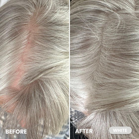 Poudre de Couverture Instantanée Cheveux Blancs PROMETICS applicateur inclus