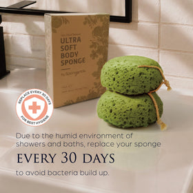 Prise en main de l'éponge loofah Spongentle