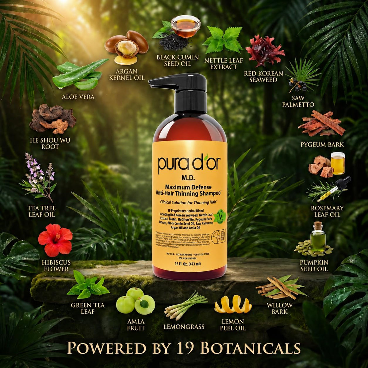PURA D'OR Shampoo Anti-Chute 0,5% Charbon Actif sur un fond blanc