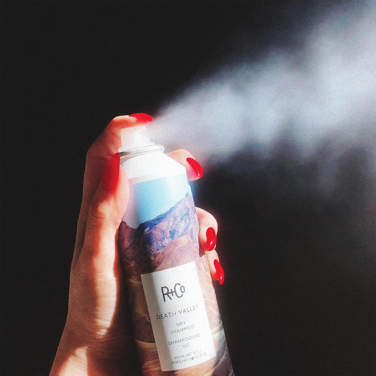 R+Co Death Valley Shampoo Sec 231g emballage recyclable