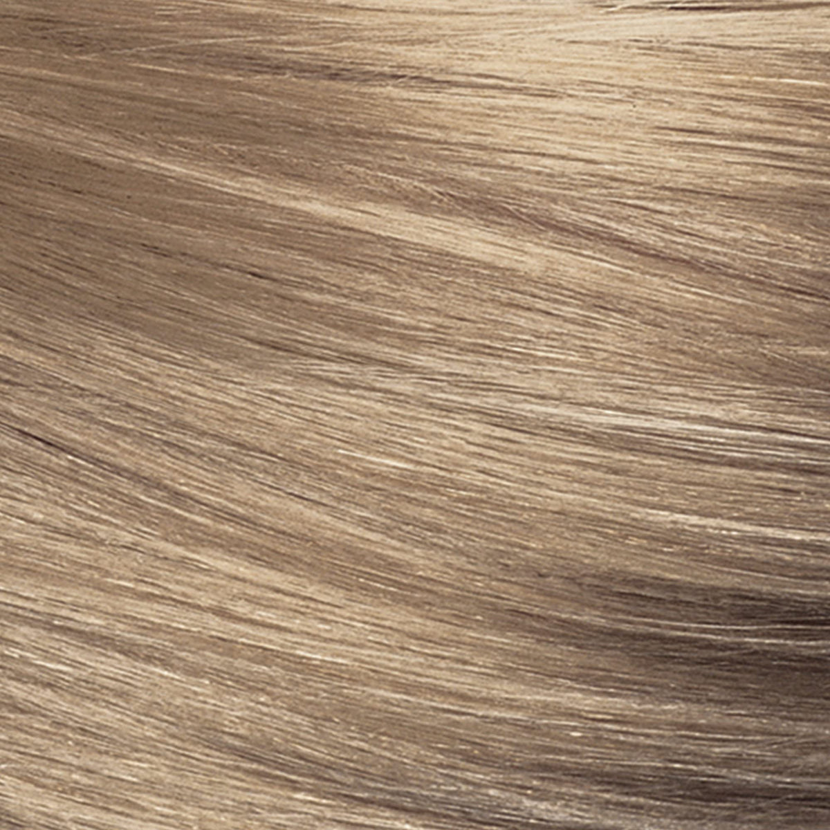 REVLON Coloration Cheveux 60 Blond Cendré avec instructions d'utilisation