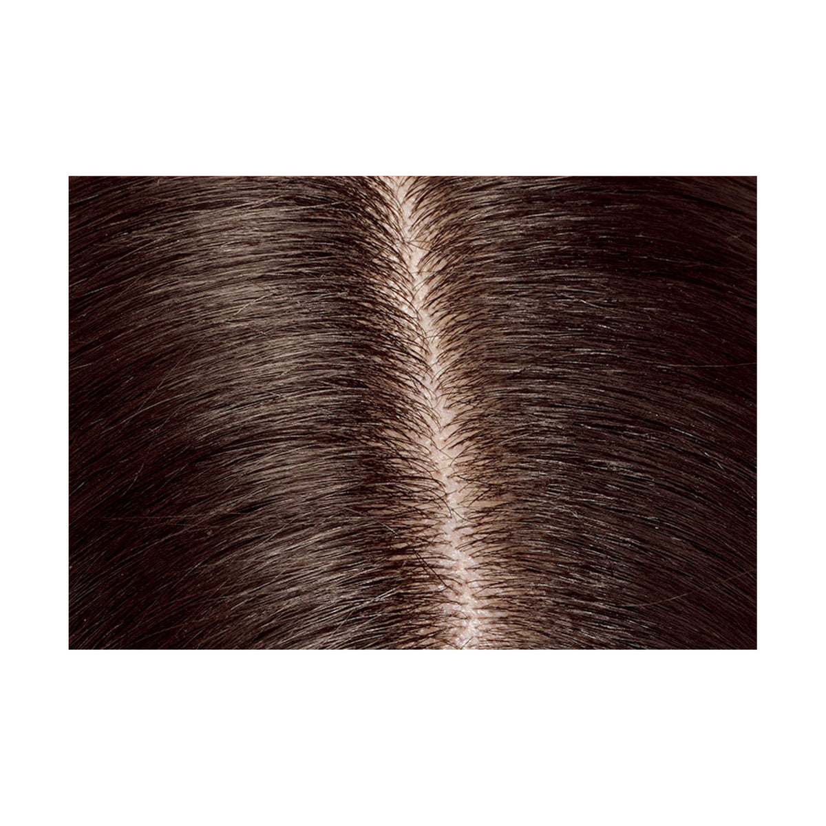 REVLON Coloration Permanente Cheveux Noir et instructions d'utilisation