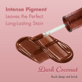 rom&nd Juicy Lasting Tint 17 Dark Coconut packaging