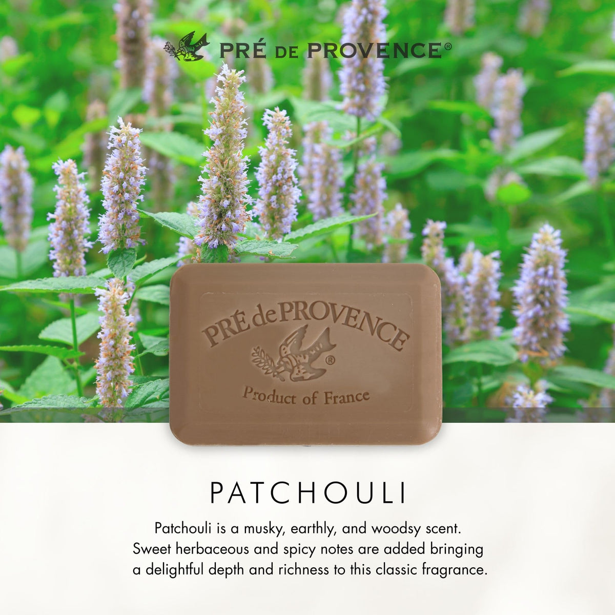 Savon au patchouli dans un panier-cadeau élégant