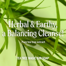 Savon Dr. Bronner's Pure-Castile Tea Tree, barres empilées
