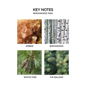 Savon liquide NEST New York Birchwood Pine avec décor de Noël