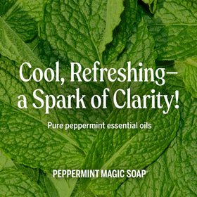 Savon liquide Pur-Castile Menthe Dr. Bronner's dans une cuisine