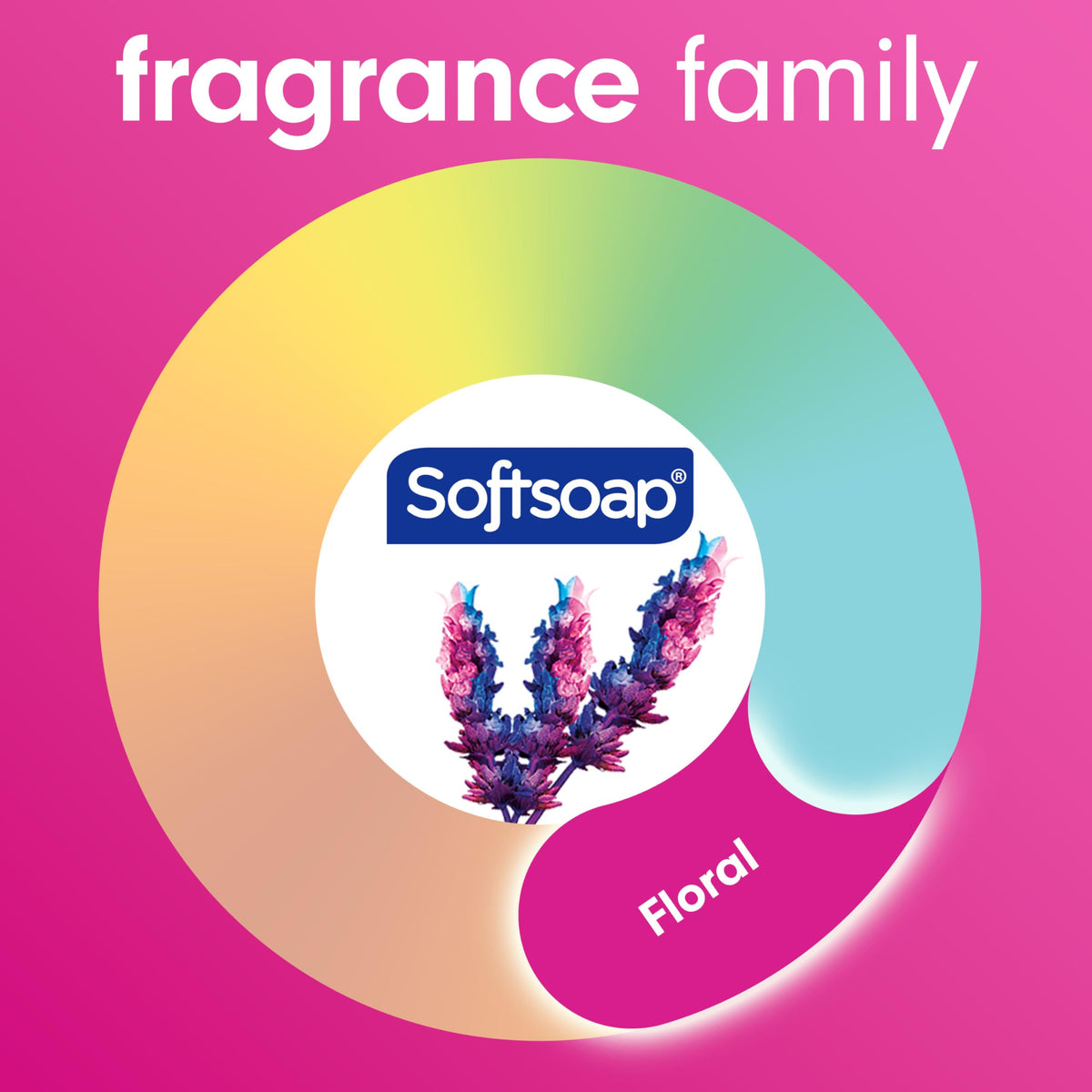 Savon liquide Softsoap Lavande et Karité pompe en gros plan