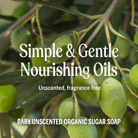 Savon Sucre Bio Dr. Bronner's avec mousse crémeuse