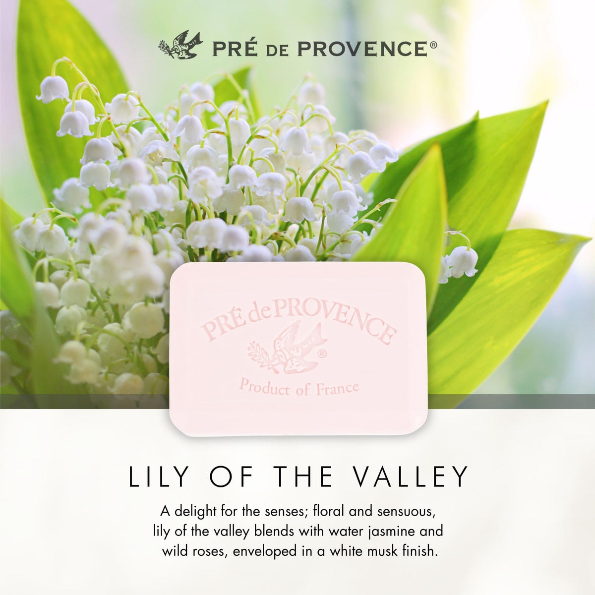 Savon traditionnel français Pre de Provence