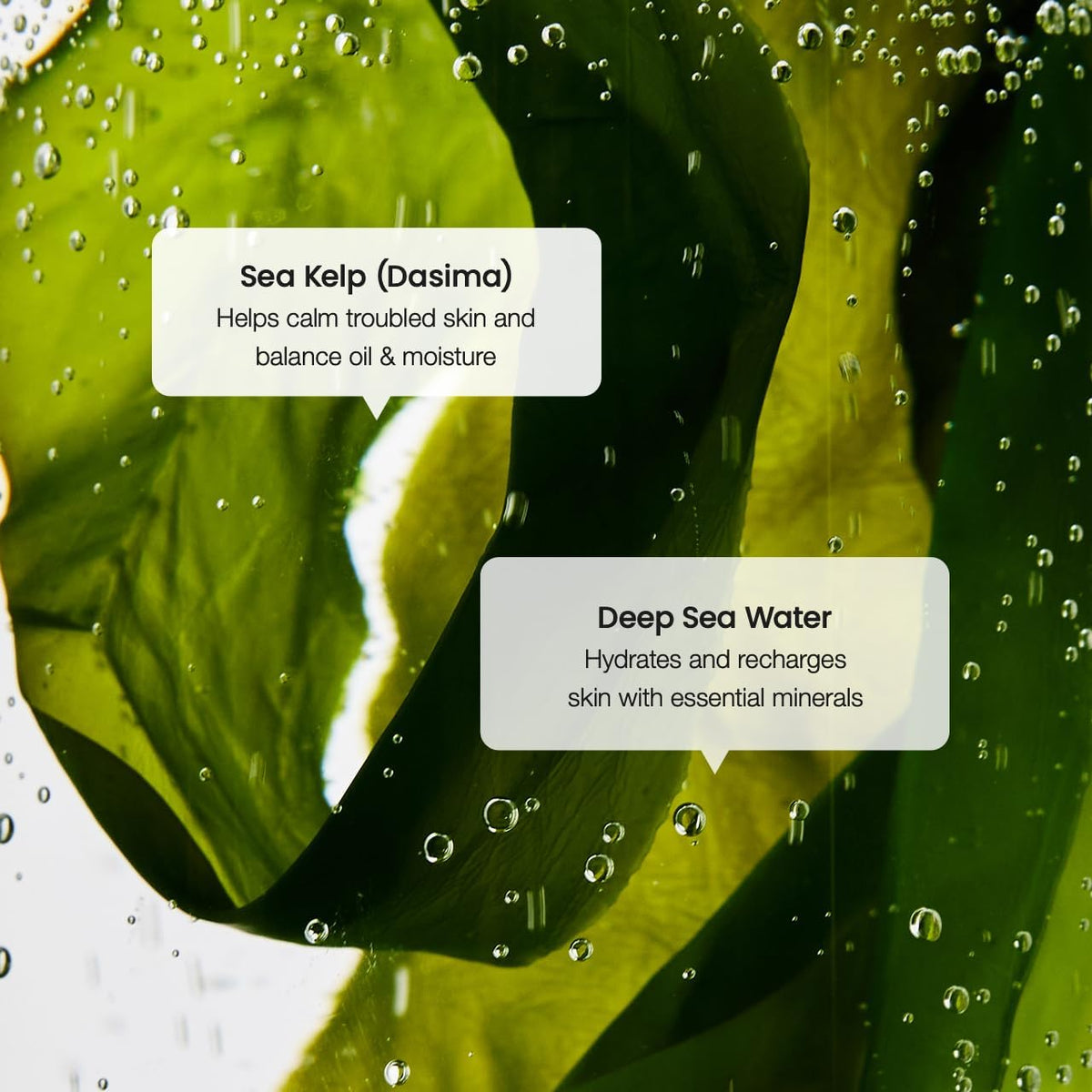 Sérum BIODANCE ouvert avec une pipette
