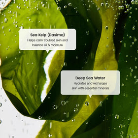 Sérum BIODANCE ouvert avec une pipette