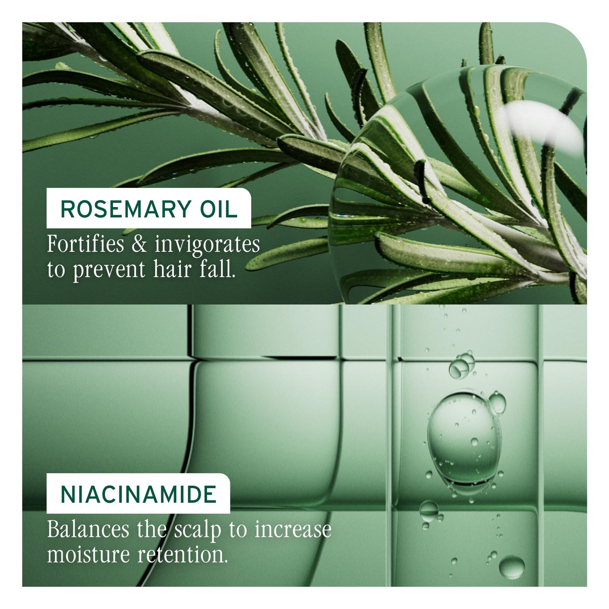 Sérum Biolage Full Rescue avec les produits de la gamme