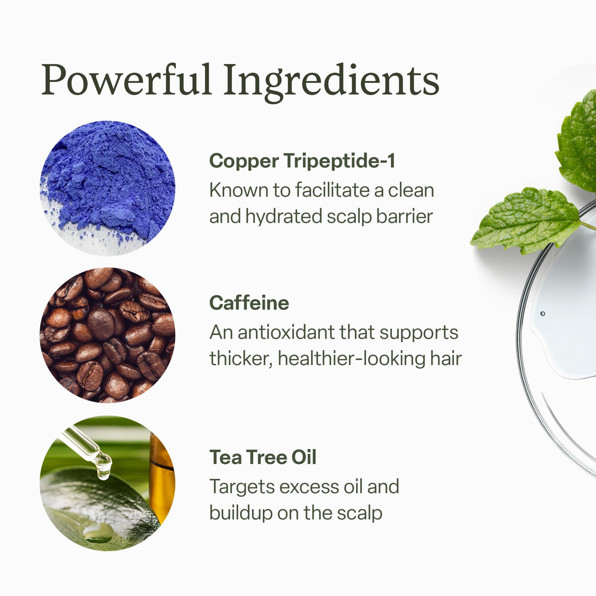 Sérum cuir chevelu divi avec huiles essentielles