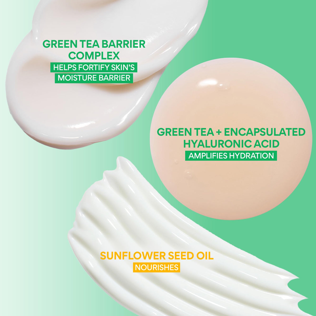 Sérum Hyaluronic Green Tea Seed 30 ml avec texture légère