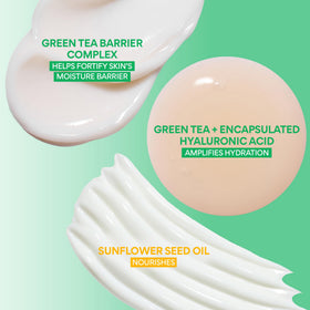 Sérum Hyaluronic Green Tea Seed 30 ml avec texture légère