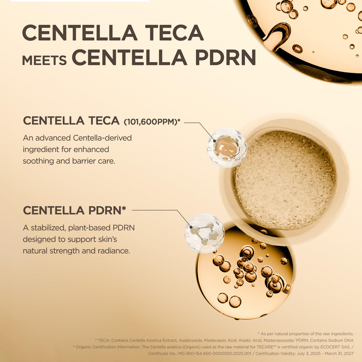 Sérum TECA Centella SKIN1004 dans un environnement naturel