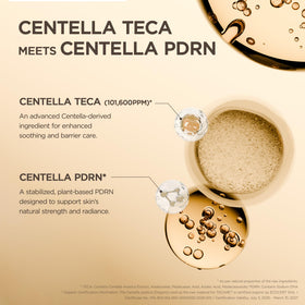 Sérum TECA Centella SKIN1004 dans un environnement naturel
