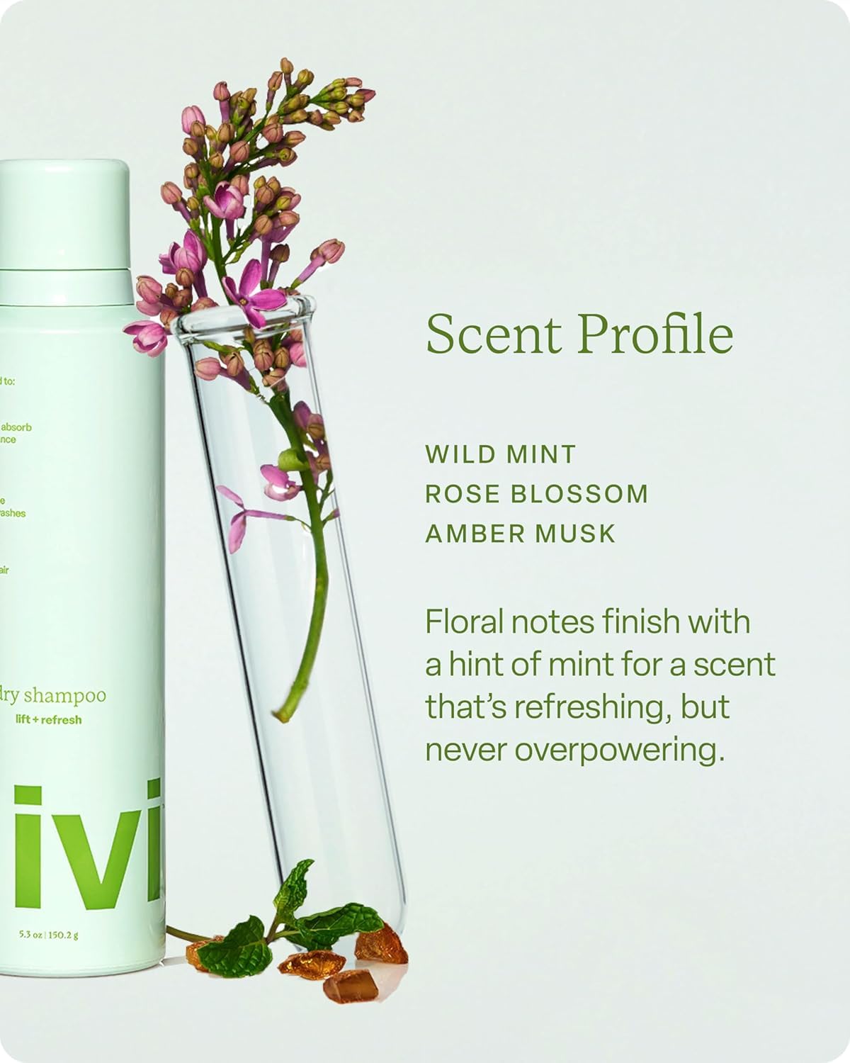 Shampoo Sec divi 5,3 oz sur fond neutre