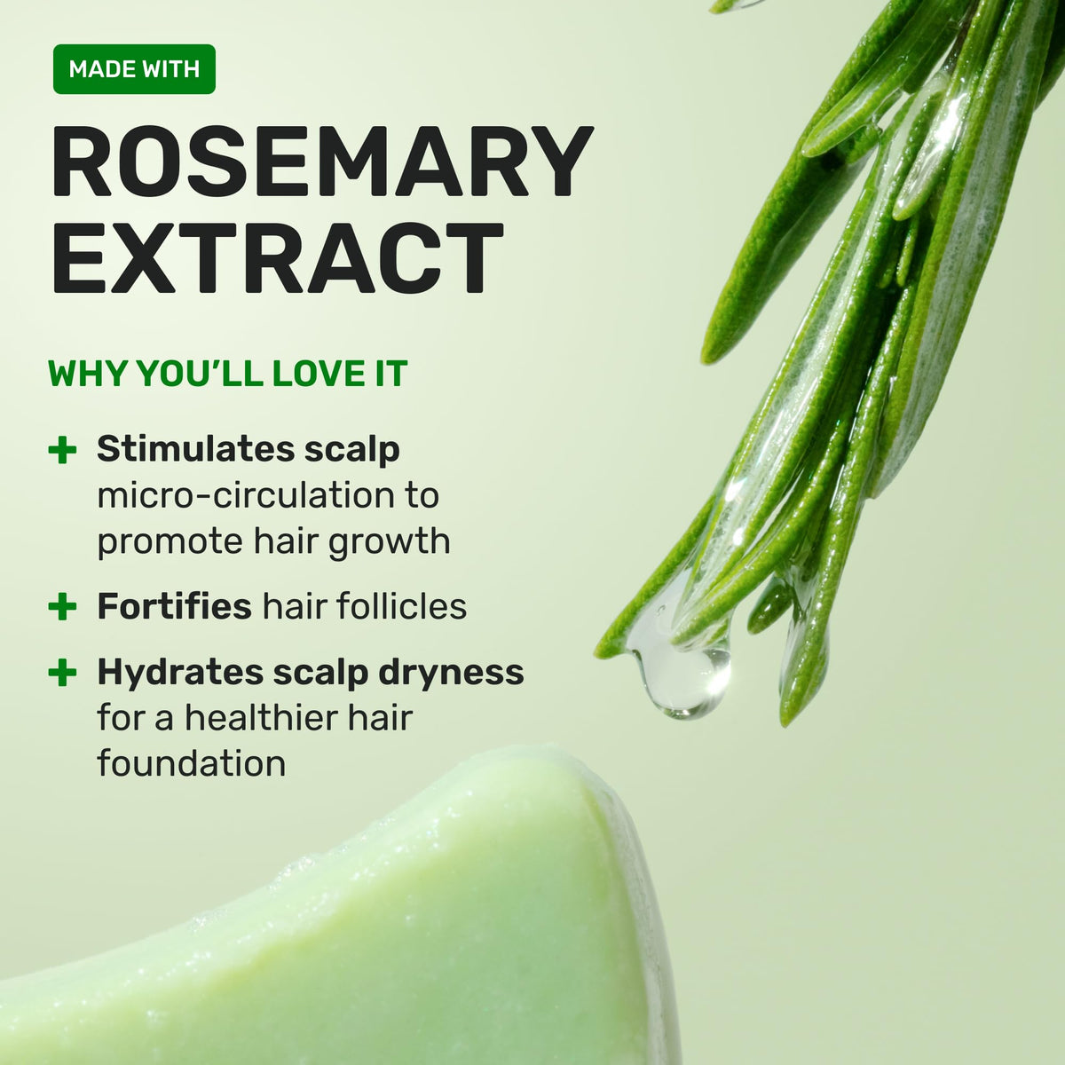 Shampooing d'Ethique avec des éléments de la nature