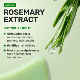 Shampooing d'Ethique avec des éléments de la nature