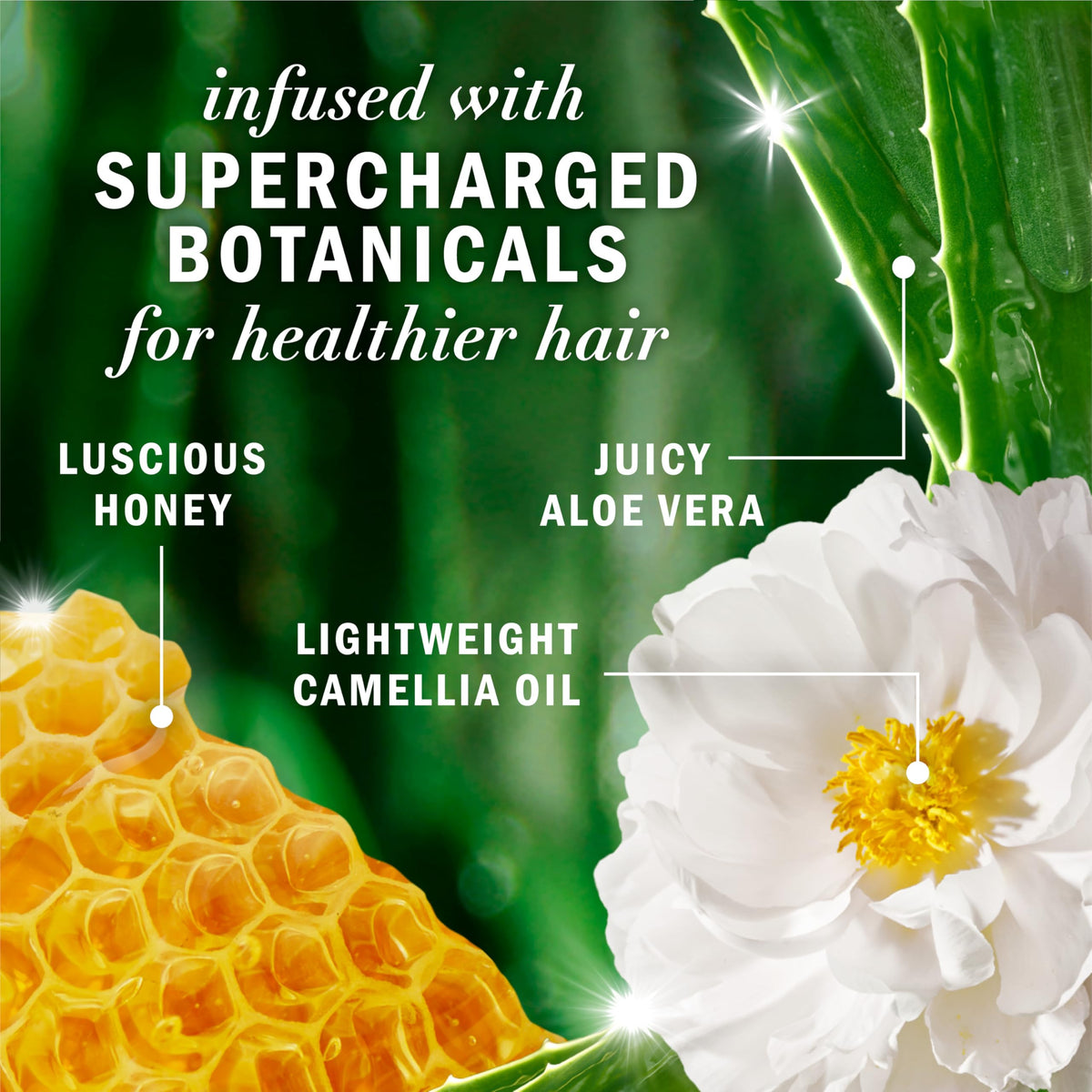 Shampooing Herbal Essences au miel sur un fond naturel avec des fleurs