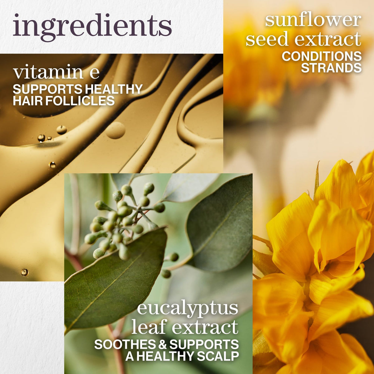 Shampooing Pureology Pure Volume en action sur cheveux mouillés