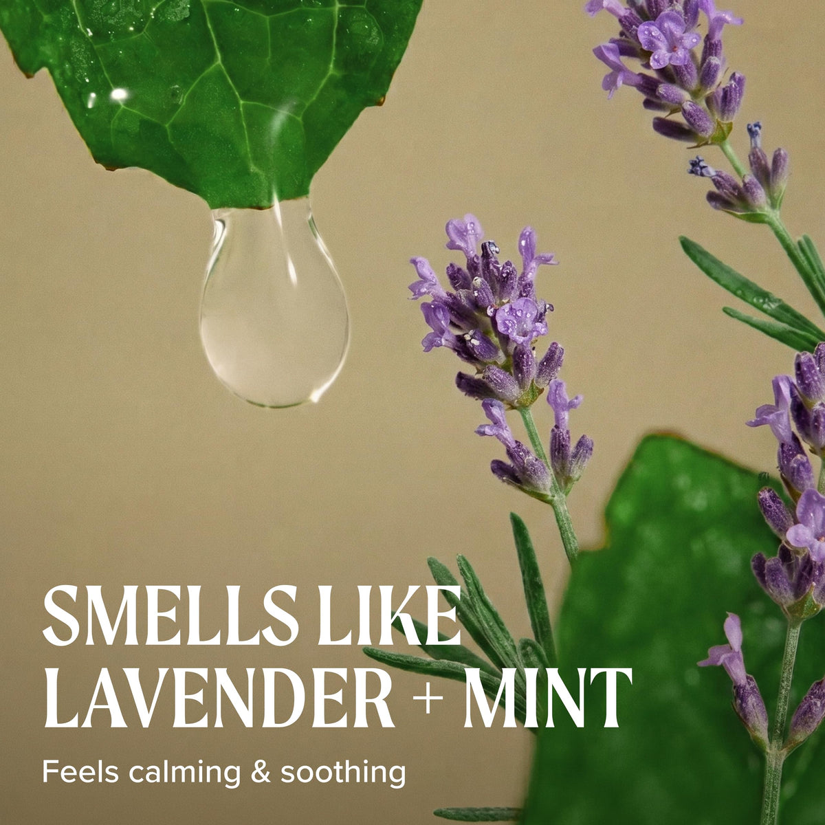 Shampooing Tea Tree Lavande Menthe dans un environnement de salle de bain