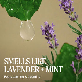 Shampooing Tea Tree Lavande Menthe dans un environnement de salle de bain