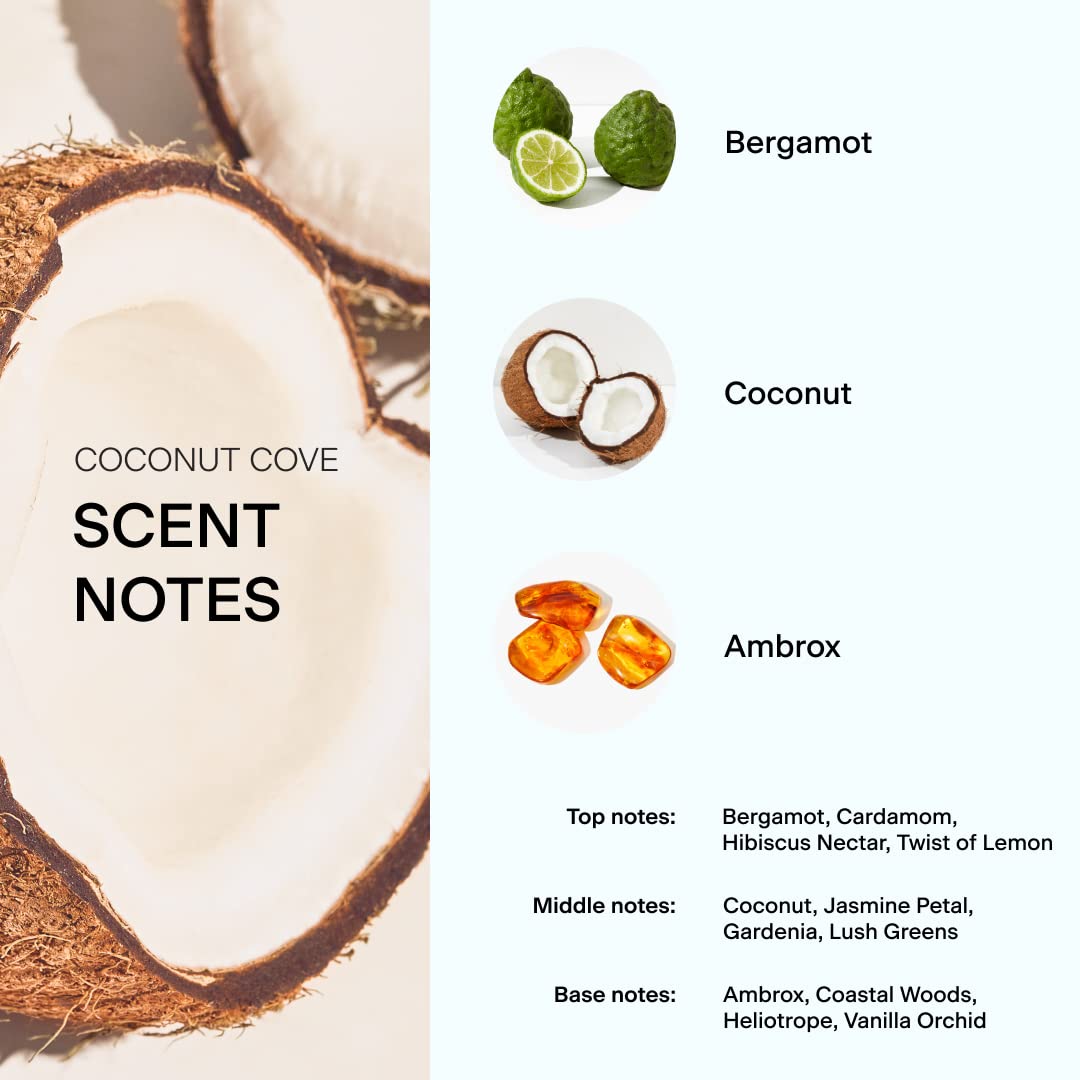 Skylar Coconut Cove Eau de Parfum 50ml bouchon et vaporisateur