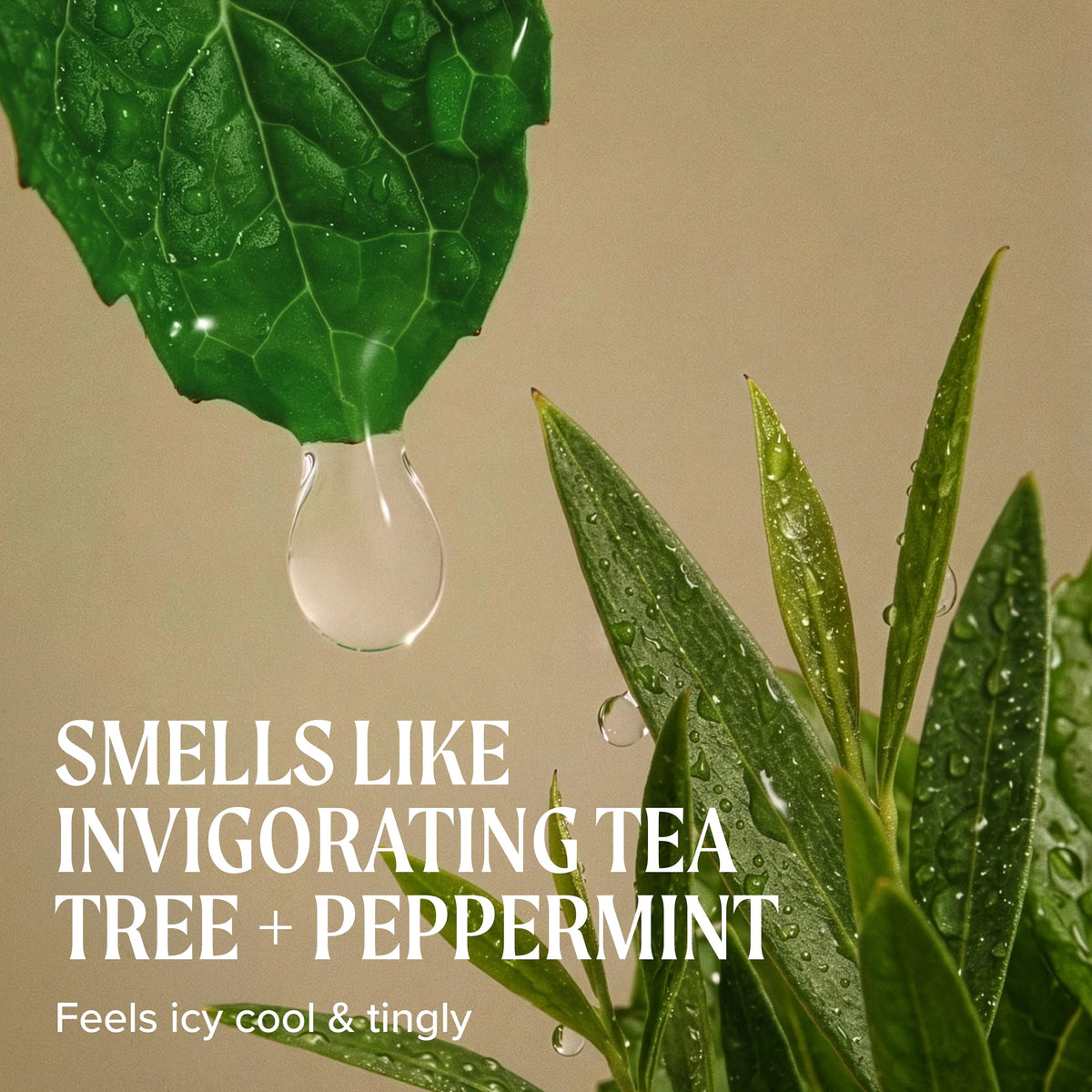 Tea Tree Après-Shampooing Spécial 1000ml avec ingrédients naturels