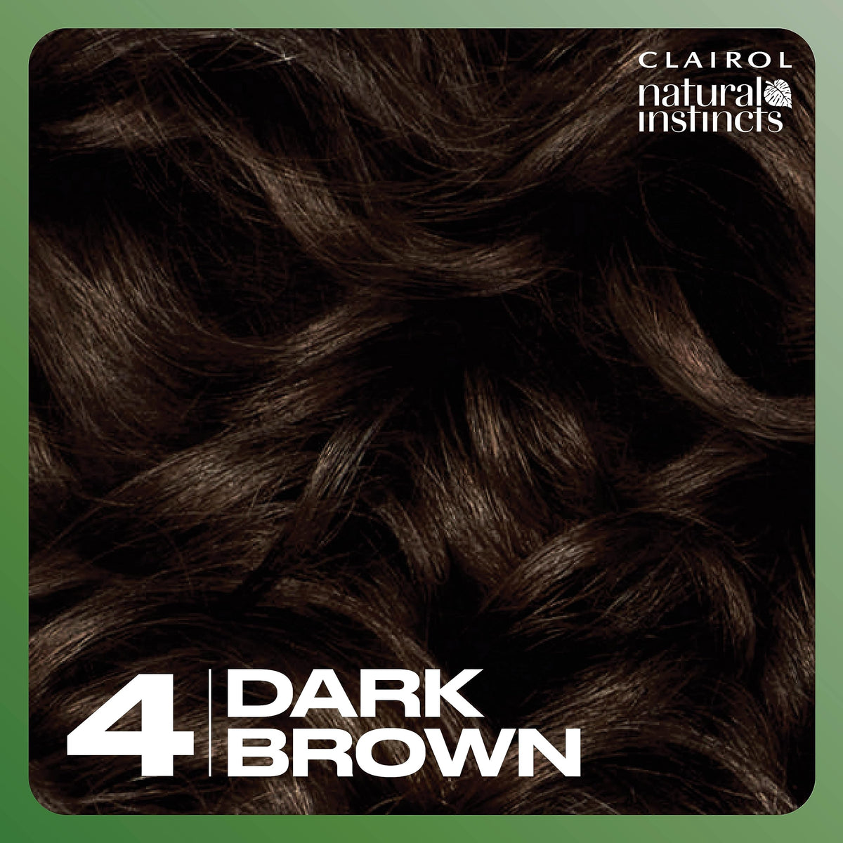 Teinture Clairol Brun Foncé appliquée sur des cheveux