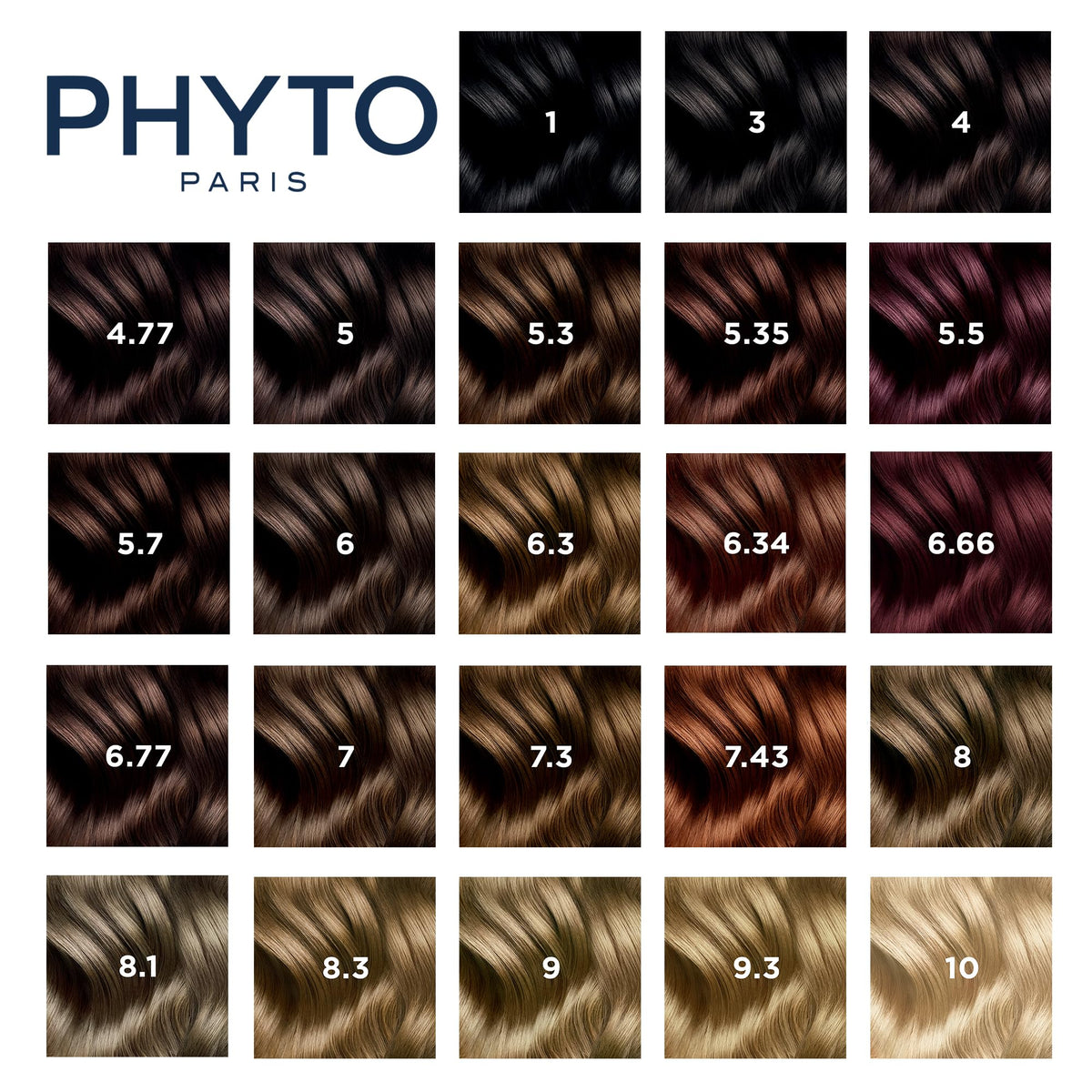 Teinture PHYTO Phytocolor 8.1 sur une table