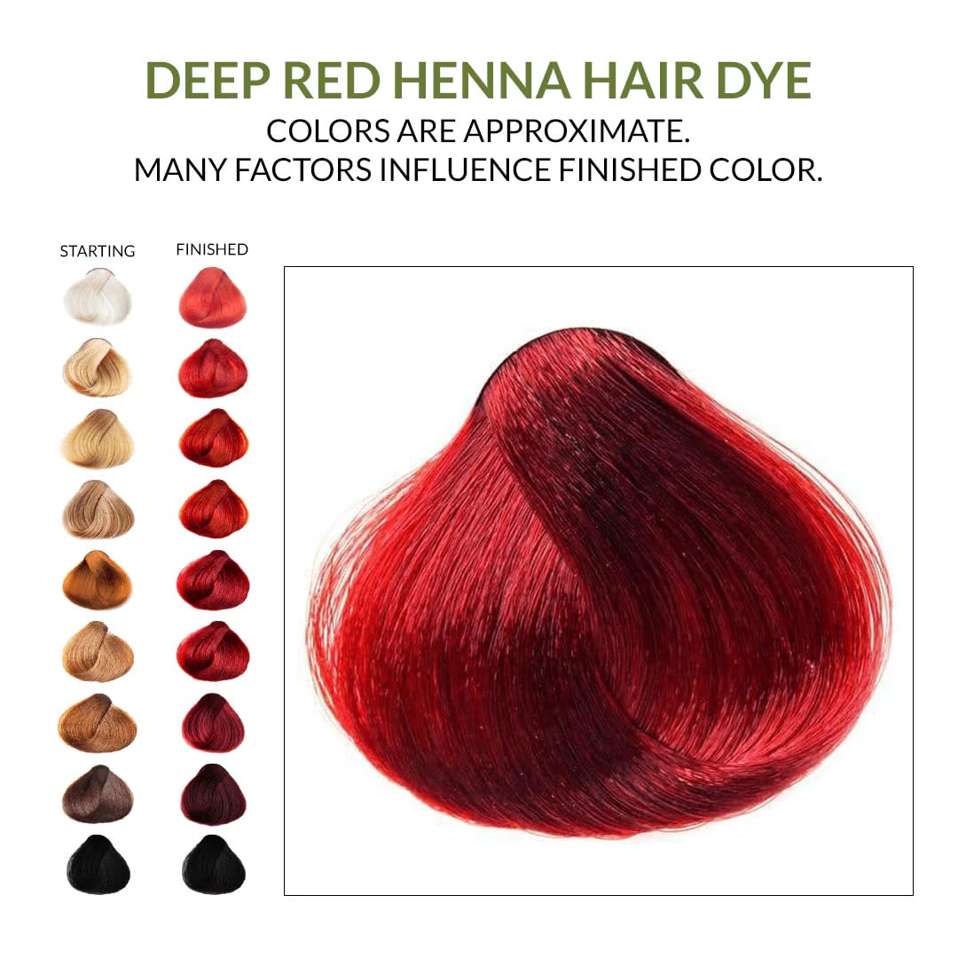 Teinture végétale The Henna Guys 200g, application sur les cheveux