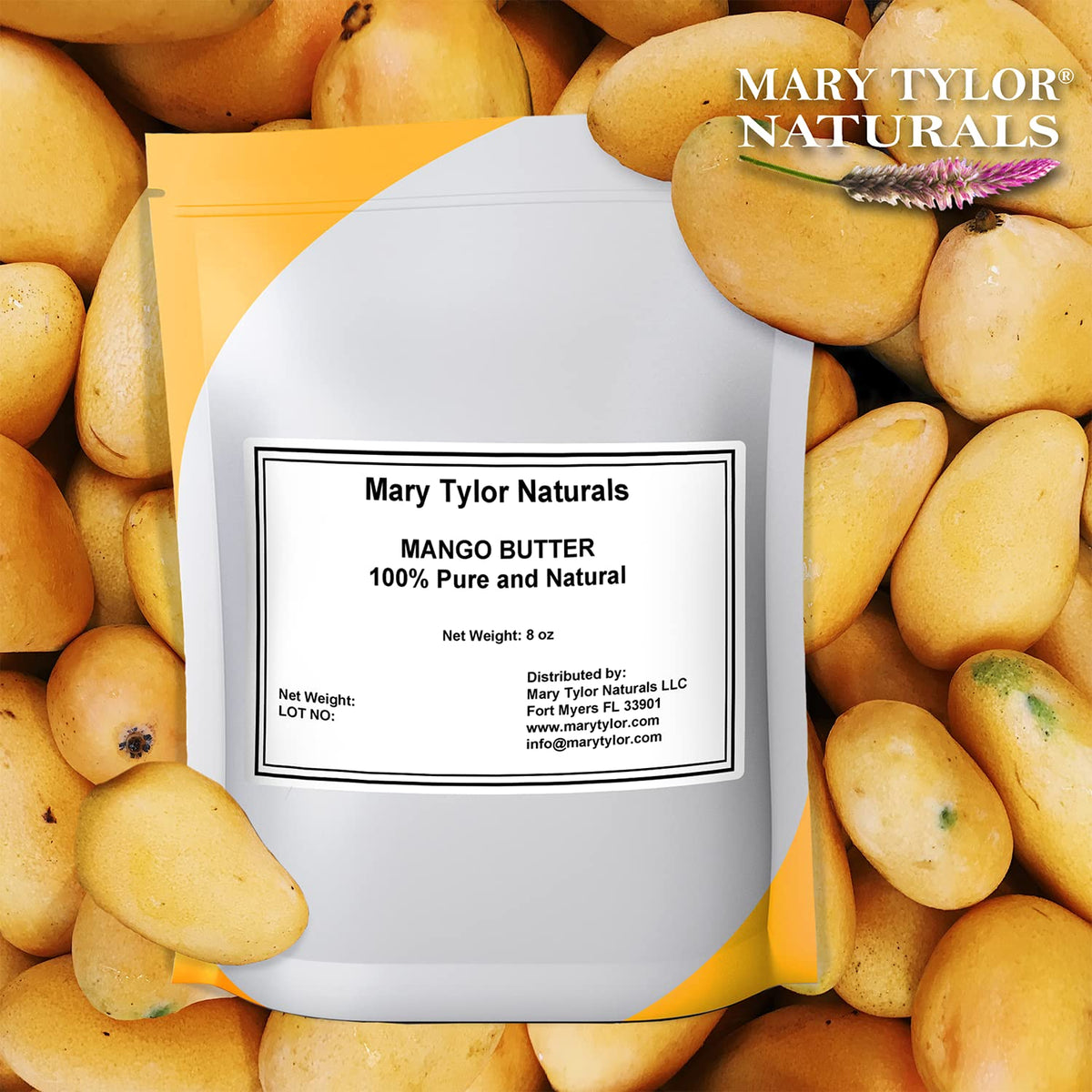 Texture crémeuse du beurre de mangue Mary Tylor Naturals sur une main