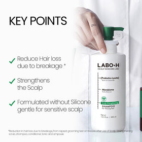 Texture crémeuse du Shampooing LABO-H sur une main