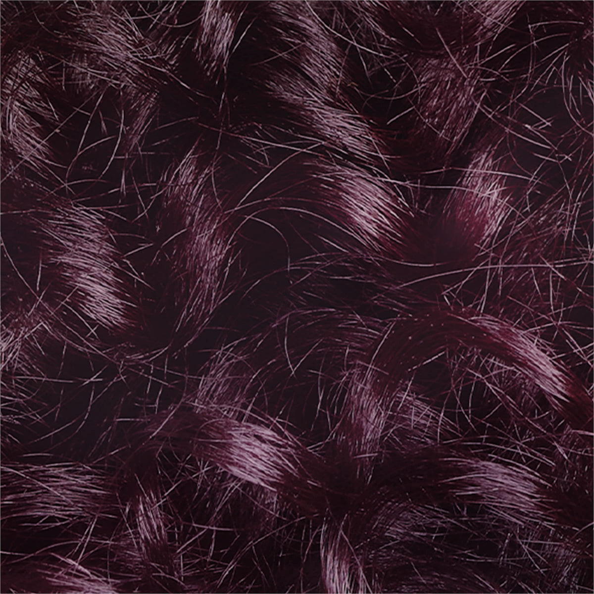 Texture du L'Oreal Paris Le Color Gloss Brilliance Prune